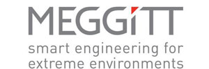 Meggitt